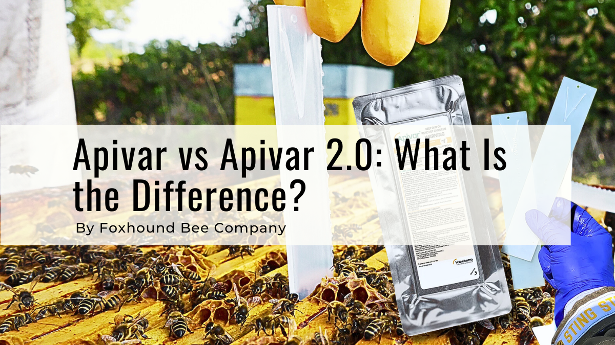 Apivar Mite Treatment