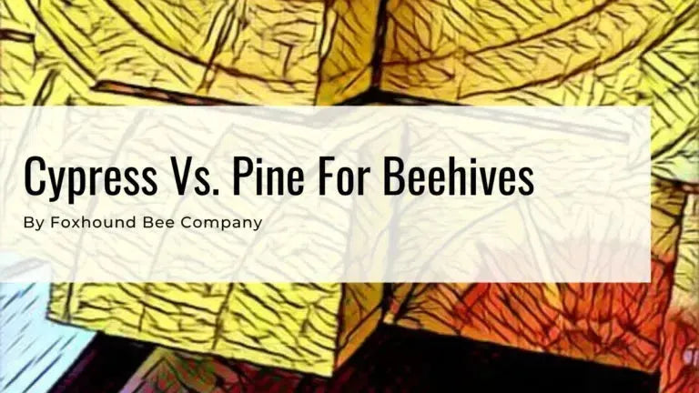 Cypress vs Pine wood