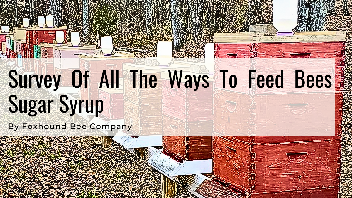 Top Feeders in the hive