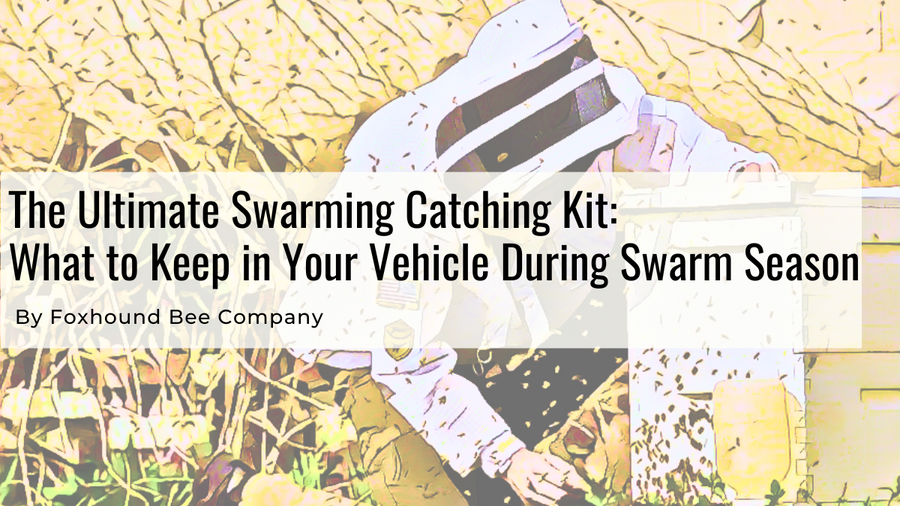 Swarm Season