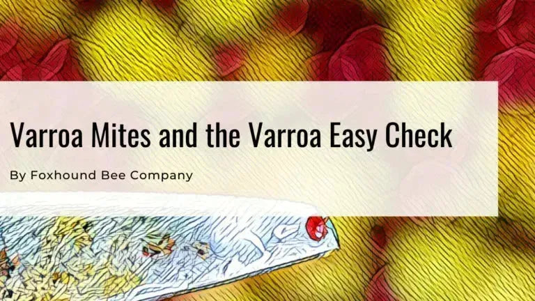 Varroa Mites And The Varroa Easy Check