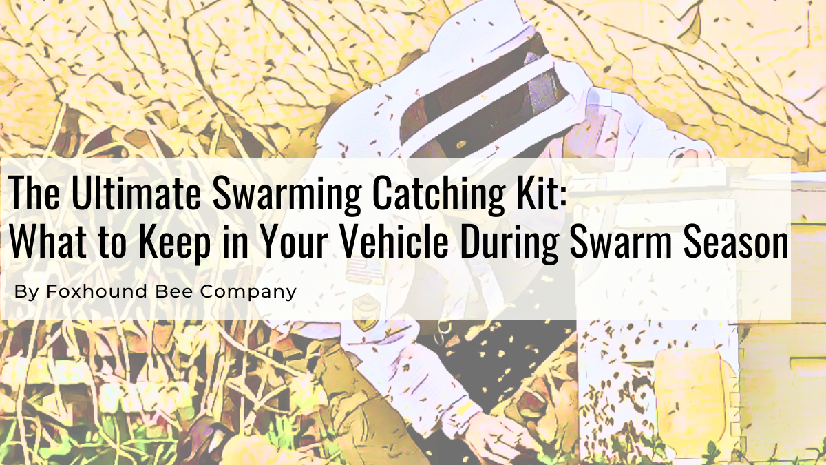 Swarm Season