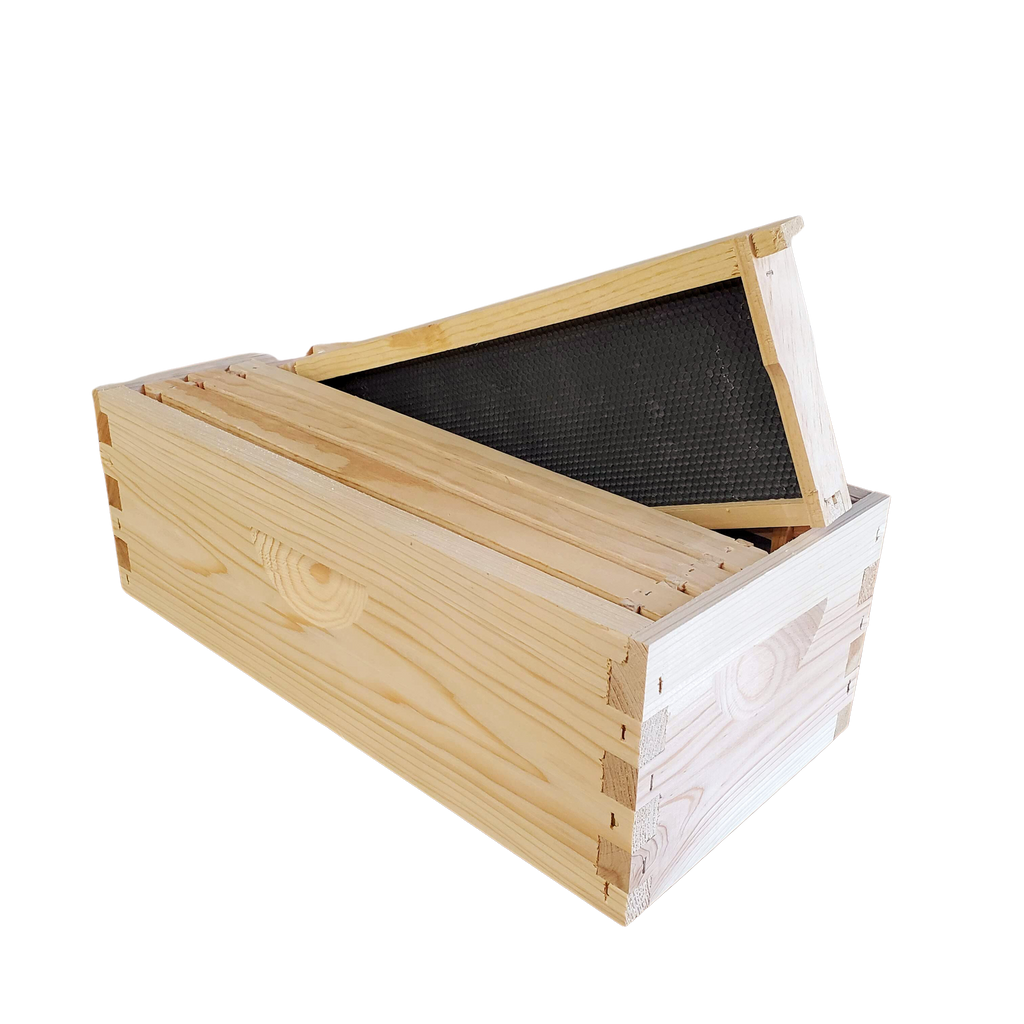 5-Frame Complete, Medium 6 5/8-inch Box with Frames and Foundation-Woodenware and Kits-5-Frame Assembled-Foxhound Bee Company