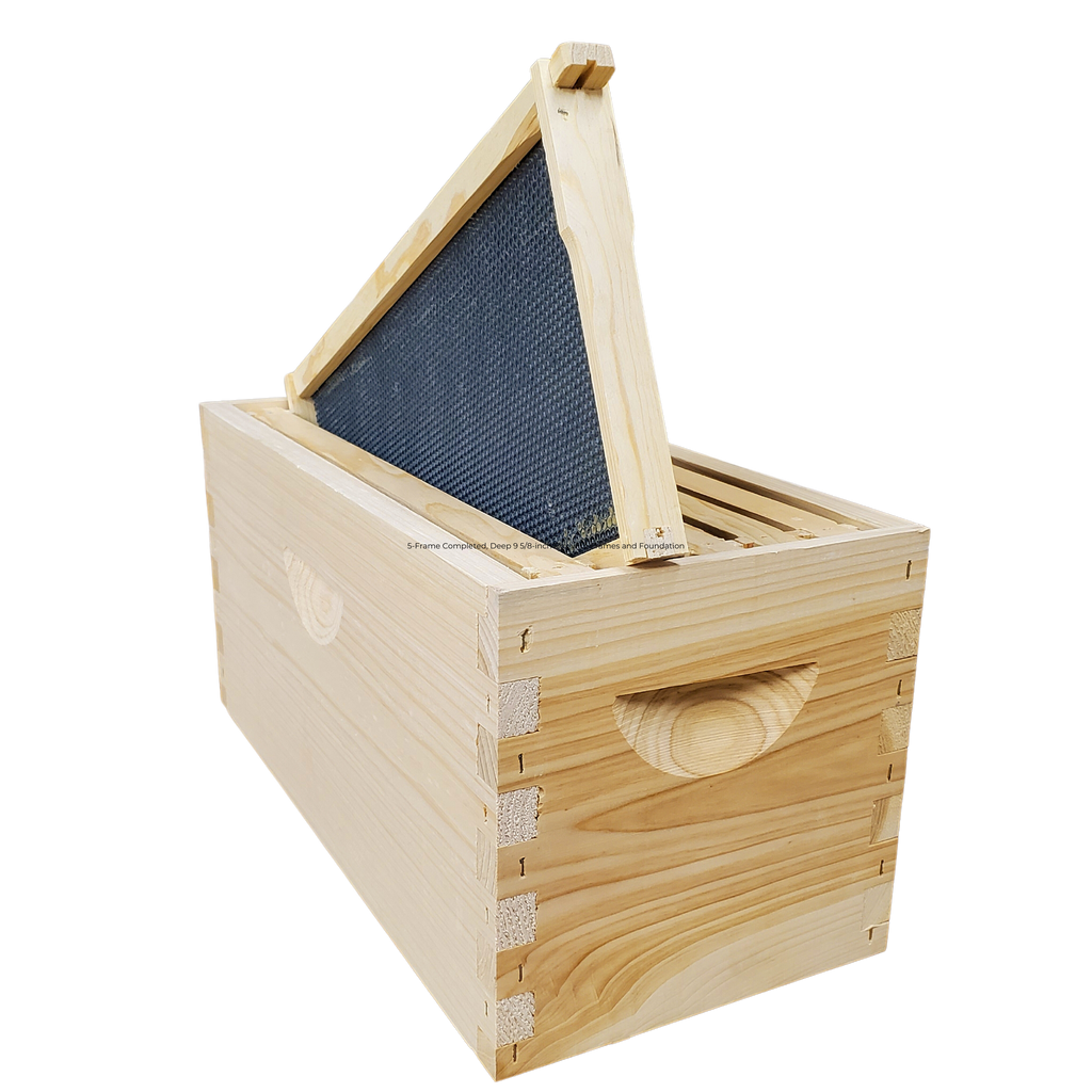 5-Frame Completed, Deep 9 5/8-inch Box with Frames and Foundation-Woodenware and Kits-5-Frame Assembled-Foxhound Bee Company