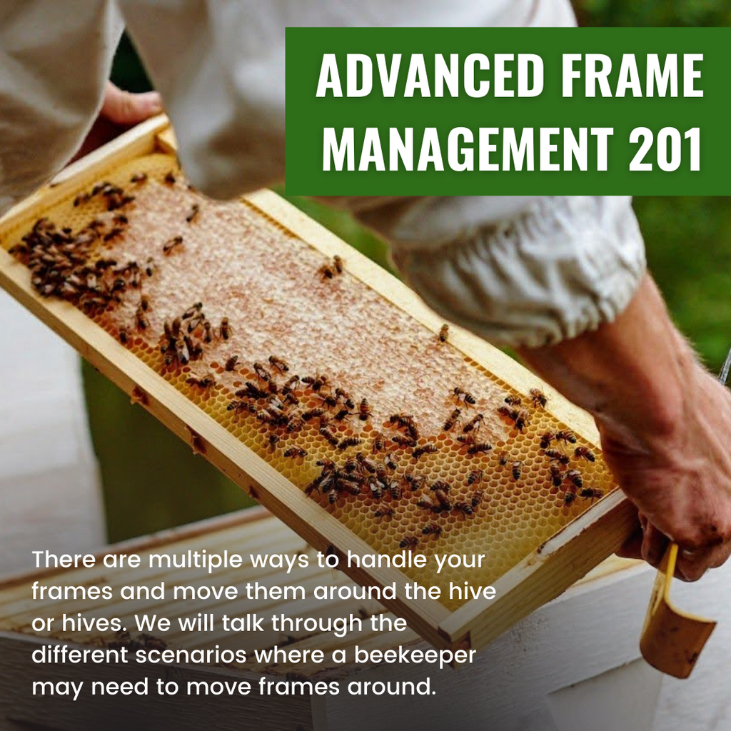 Advanced Frame Management 201-Education-Foxhound Bee Company