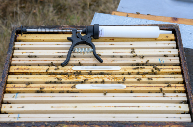 Amiflex Varroa Mite Treatment-Amiflex Starter Kit-Foxhound Bee Company