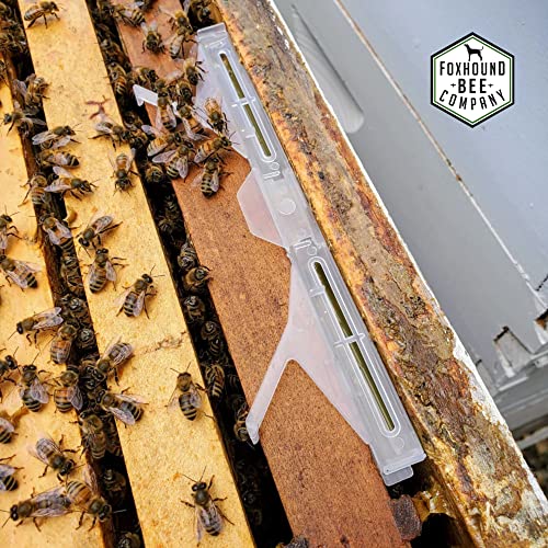 Small Hive Beetle Baitable Trap-Supplies-Single-Foxhound Bee Company
