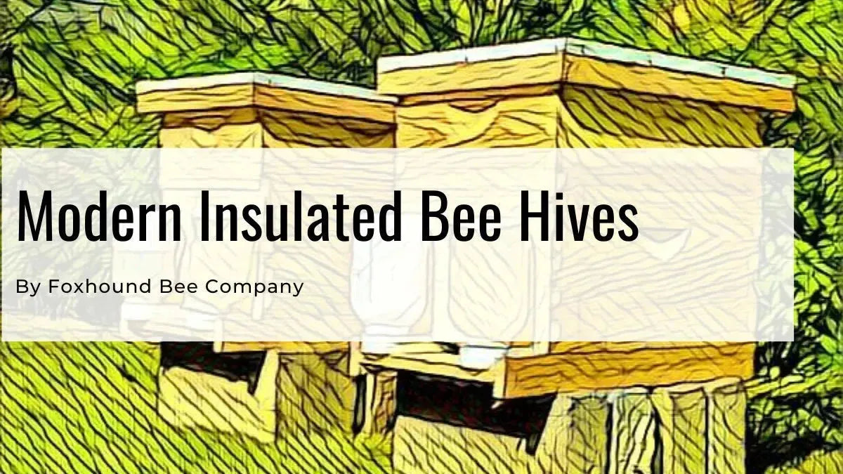 Hive Boxes