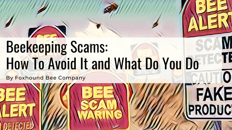 Beekeeping Scams