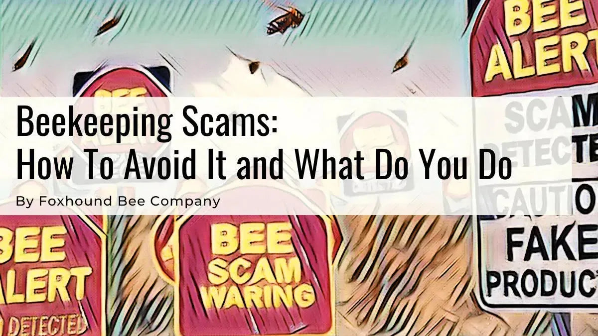 Beekeeping Scams