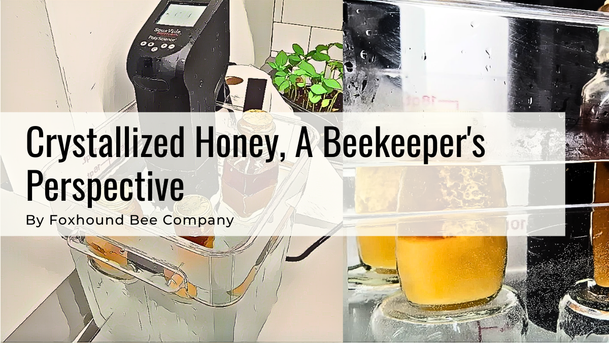 Crystallized Honey, A Beekeepers Point Of View