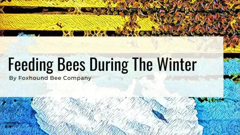 Feeding bees during winter