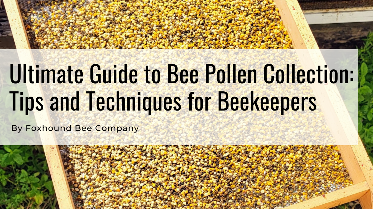 Bee Pollen in a pollen trap