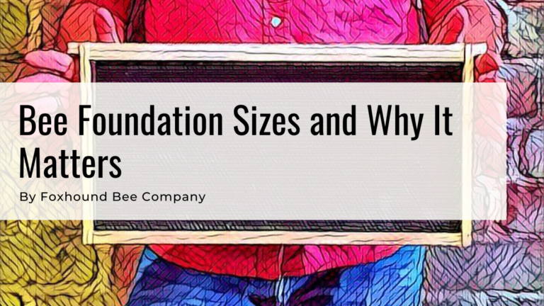 Foundation Cell Size And Cell Counts, Why It Matters
