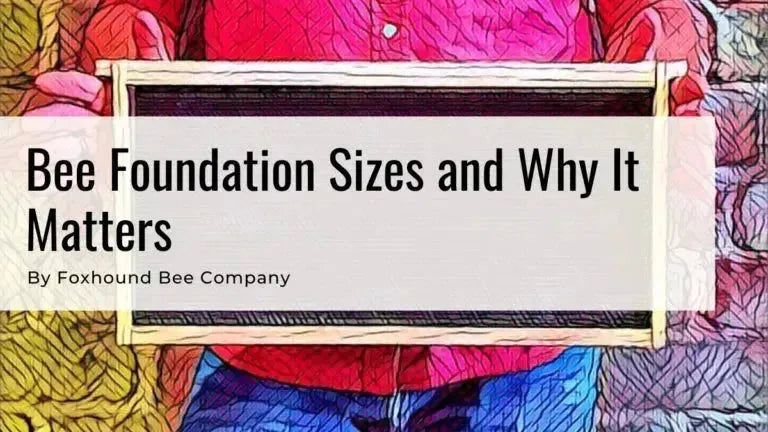 Foundation Cell Size And Cell Counts, Why It Matters