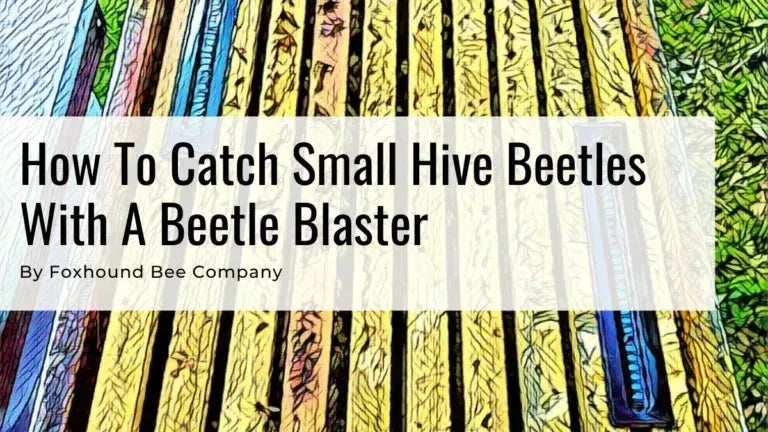 Bettle Blaster used in a hive