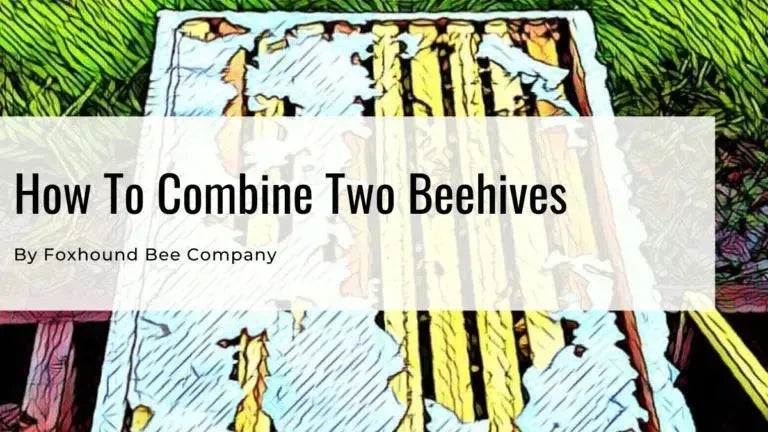 Two hive boxes