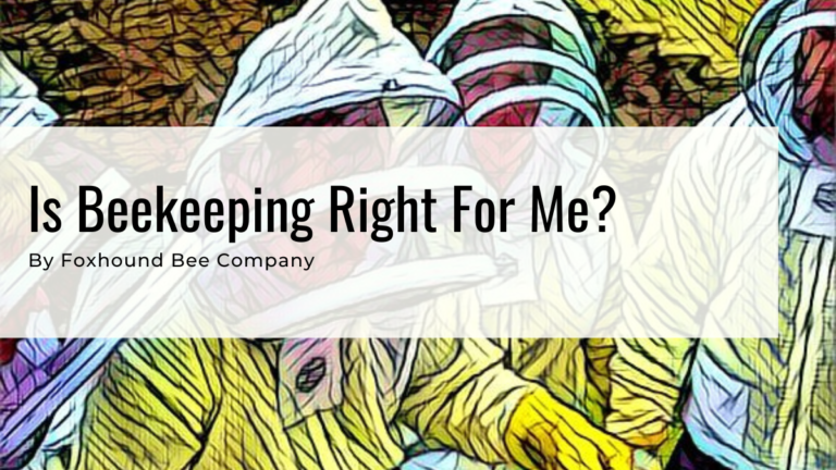 Is beekeeping right for me?