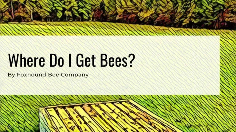 Bee Hives