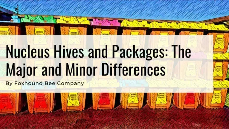 Nucleus Hives