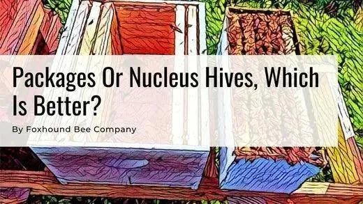 Package and nucleus hive
