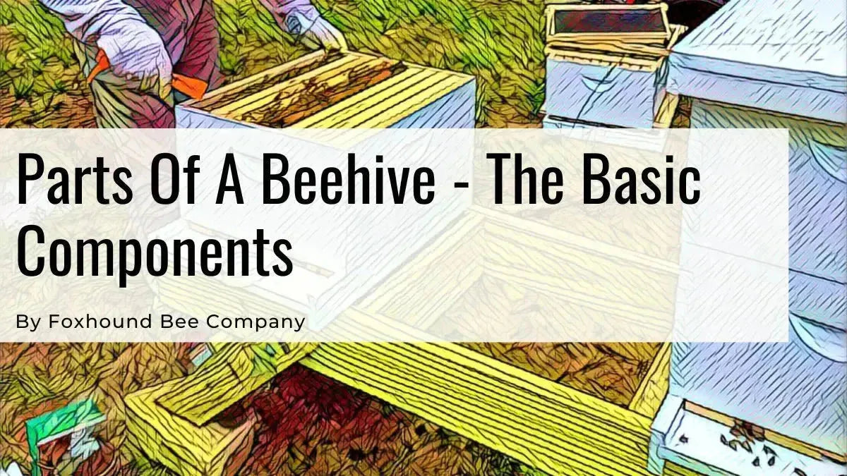 Parts of a beehive