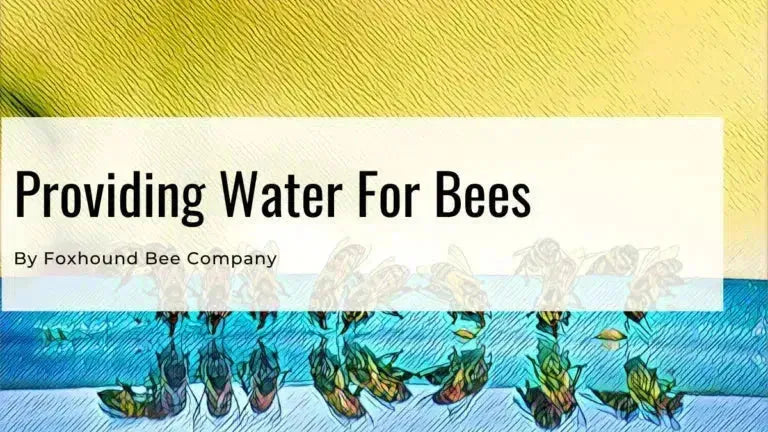 water for bees