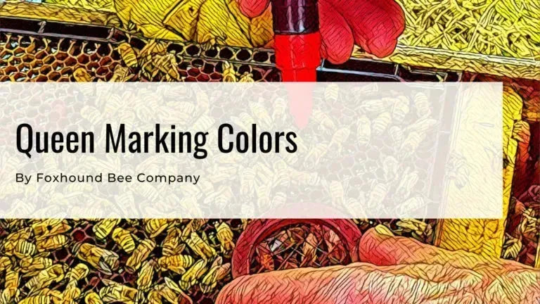queen marking pens blog