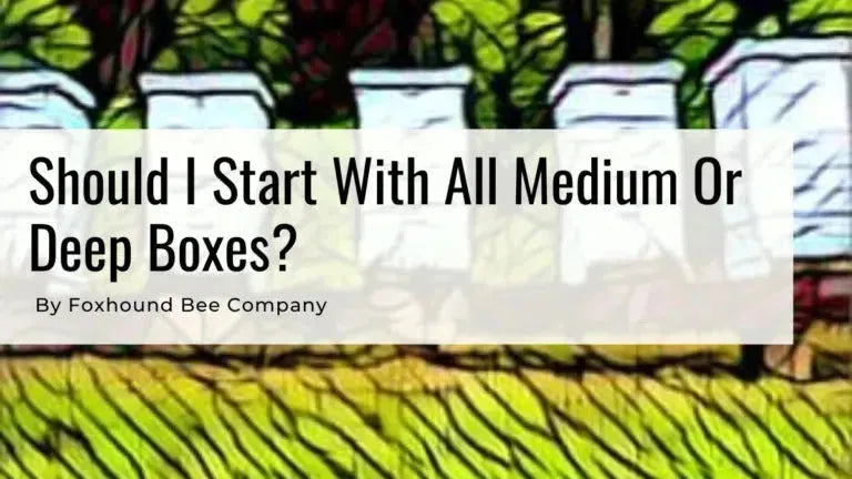 Deep and Medium Boxes