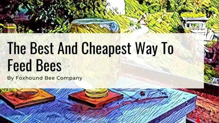 Cheapest way in Feeding Bees