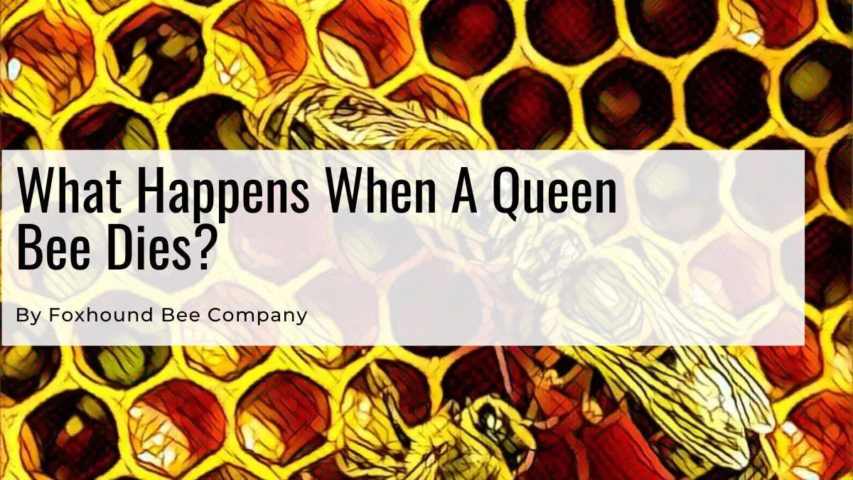 Mated Queen