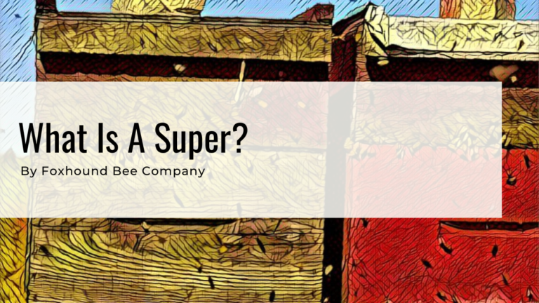 What is a Honey Super?