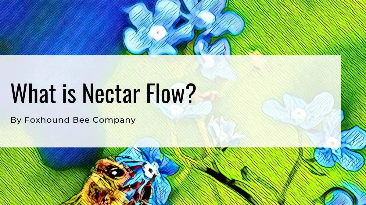 What Is A Nectar Flow?