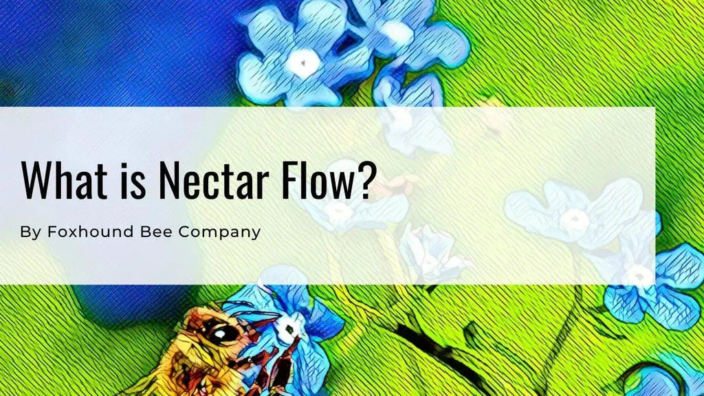 What Is A Nectar Flow?