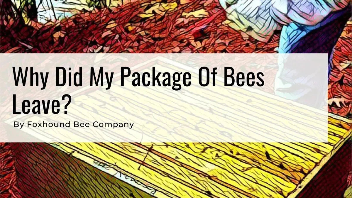 Bee hives
