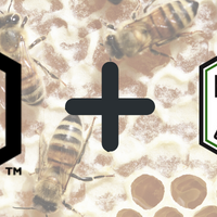 Hive Life Products 2023-Foxhound Bee Company