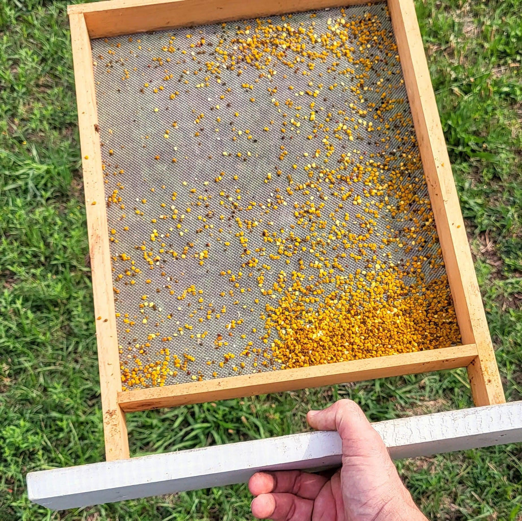Pollen Harvesting-Foxhound Bee Company