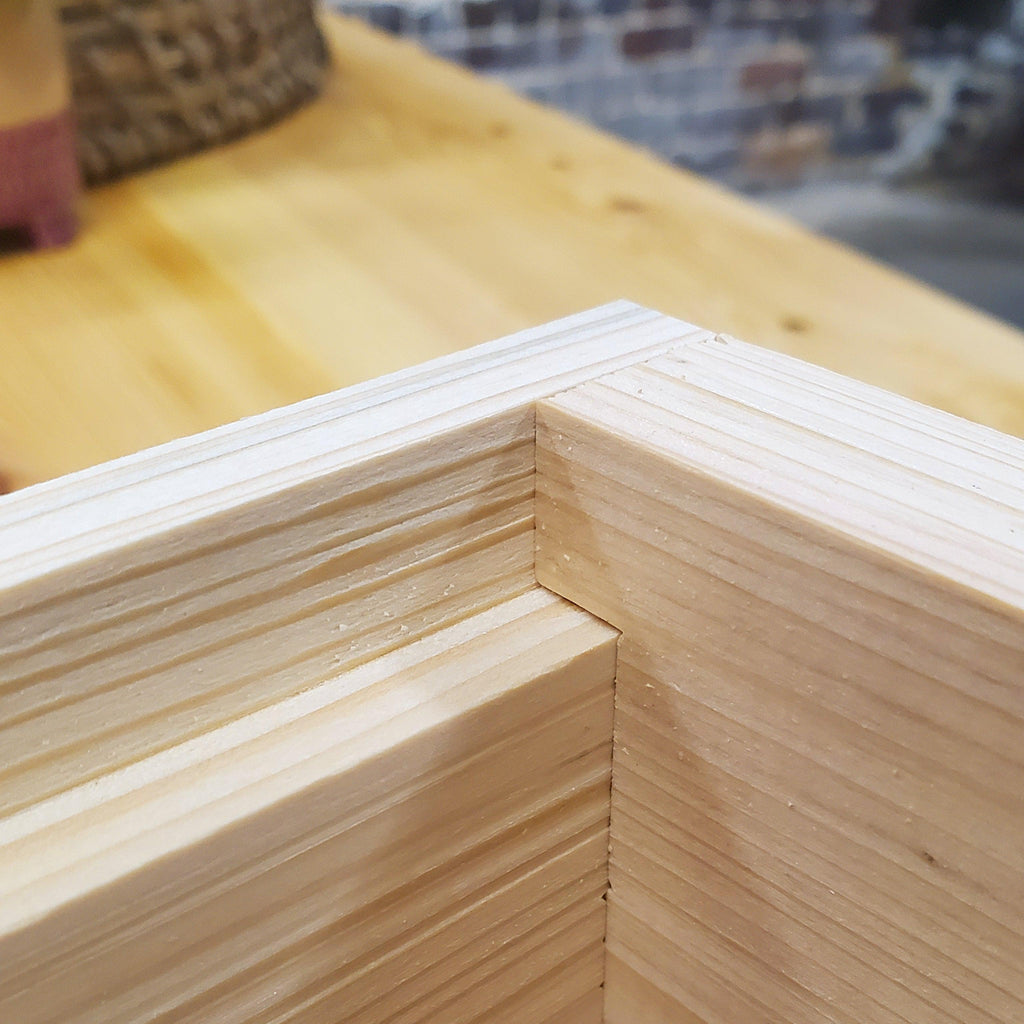 10-Frame Complete, Medium 6 5/8-inch Box with Frames and Foundation-Woodenware and Kits-10-Frame Unassembled-Foxhound Bee Company