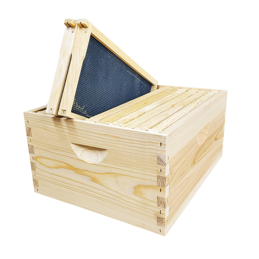10-Frame Completed, Deep 9 5/8-inch Box with Frames and Foundation-Woodenware and Kits-10-Frame Assembled-Foxhound Bee Company