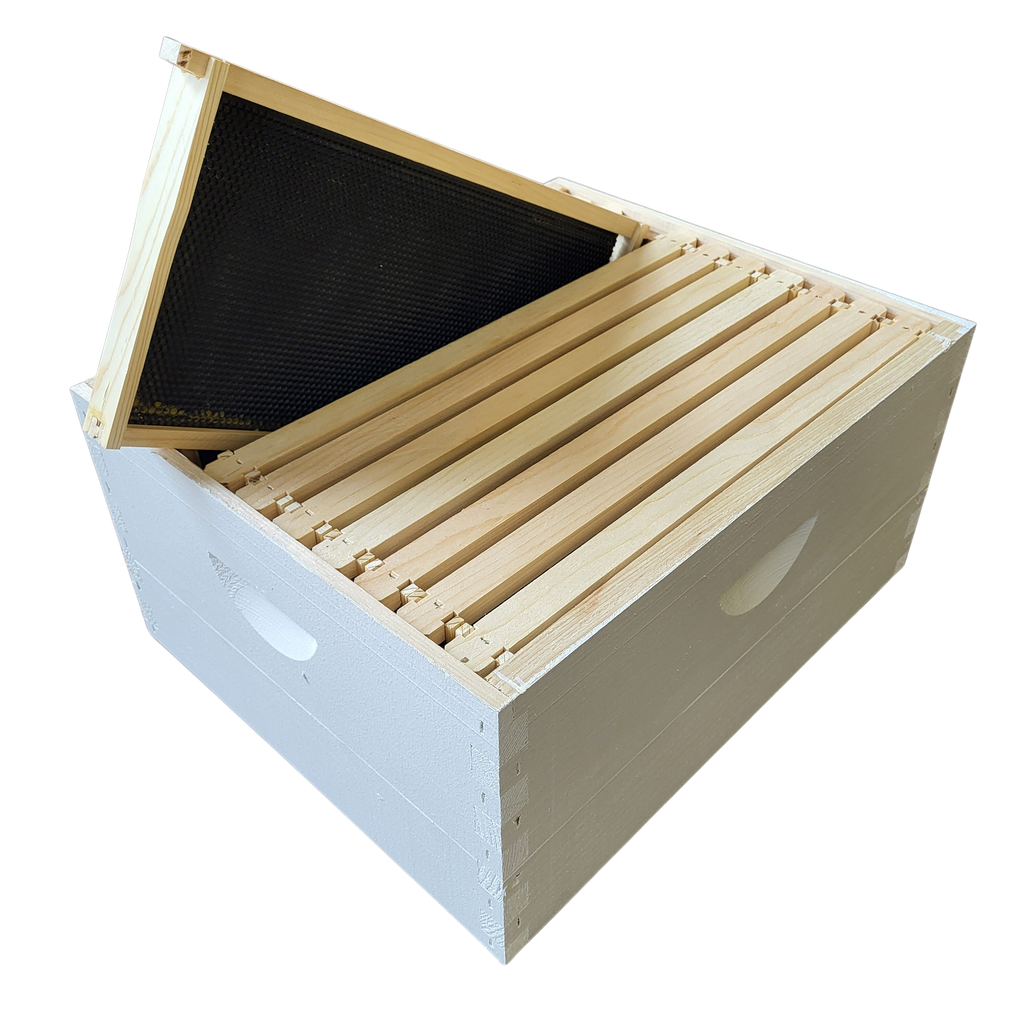 10-Frame Completed, Deep 9 5/8-inch Box with Frames and Foundation-Woodenware and Kits-10-Frame Assembled, Primed and Painted-Foxhound Bee Company