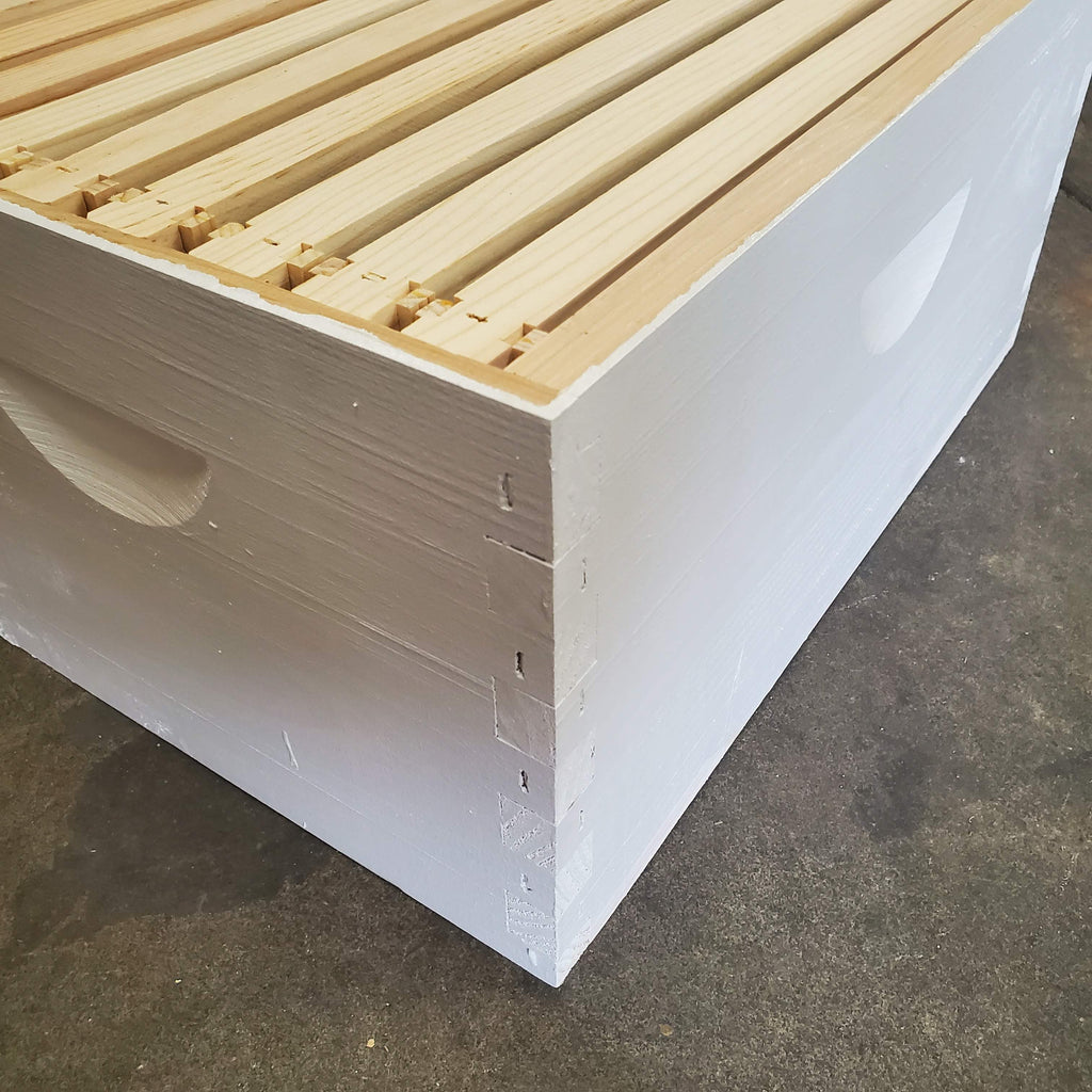 10-Frame Completed, Deep 9 5/8-inch Box with Frames and Foundation-Woodenware and Kits-10-Frame Unnasembled-Foxhound Bee Company