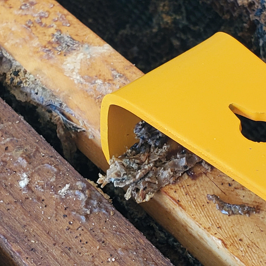 10.25-inch Orange Hive Tool-Supplies-Single-Foxhound Bee Company
