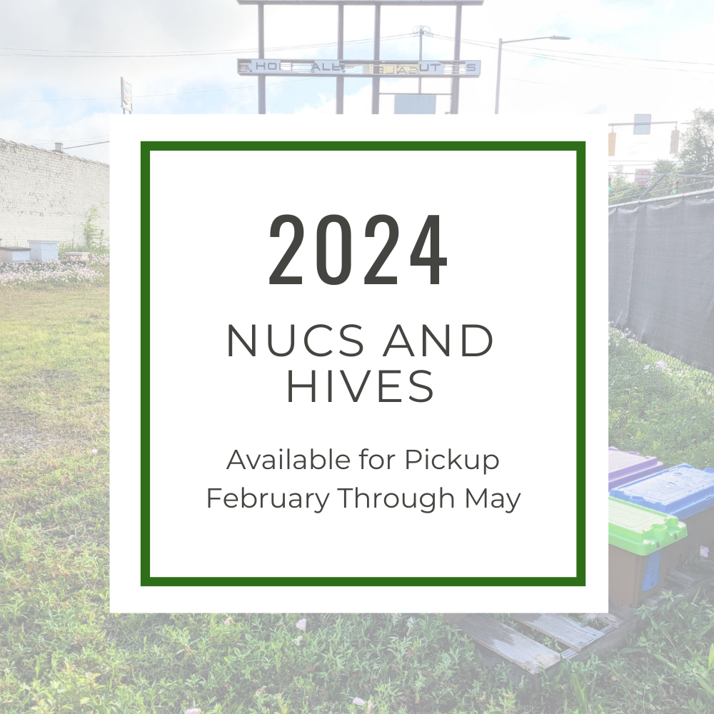 2024 Alabama Nucleus Hive with Bees-Hive Products-5-Frame 2023 Queen in Temporary Nucleus Box (April - May)-Overstock-Foxhound Bee Company