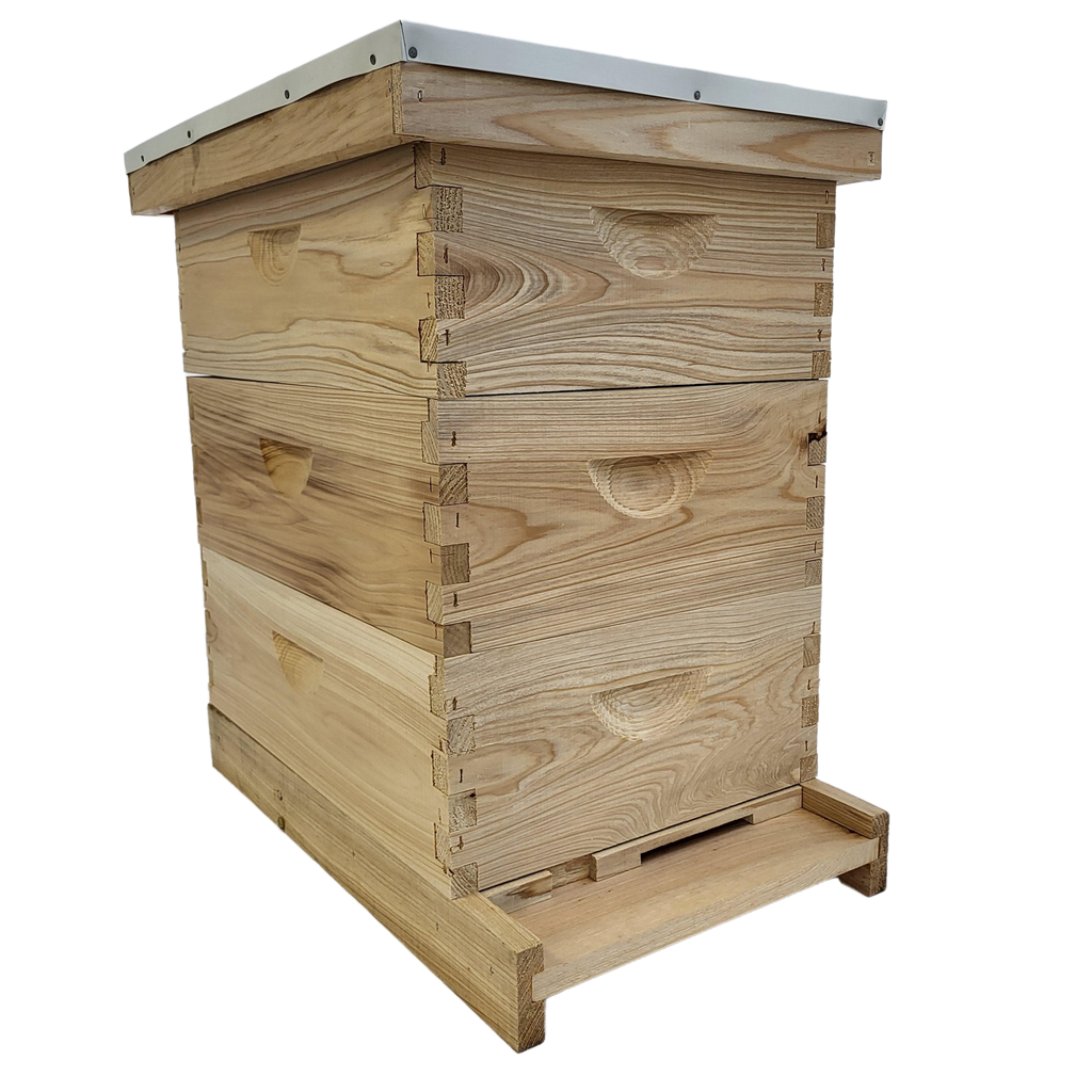 8-Frame All-Medium Box Hive Kit-Foxhound Bee Company