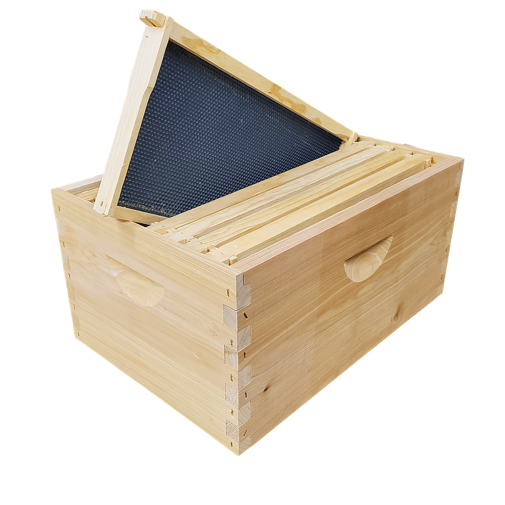 8-Frame Completed, Deep 9 5/8-inch Box with Frames and Foundation-Woodenware and Kits-8-Frame Assembled-Foxhound Bee Company