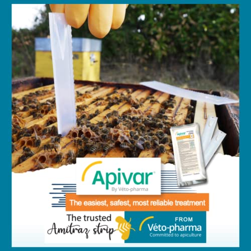 Apivar Varroa Mite Treatment Strips-Supplies-4 Pack-Foxhound Bee Company