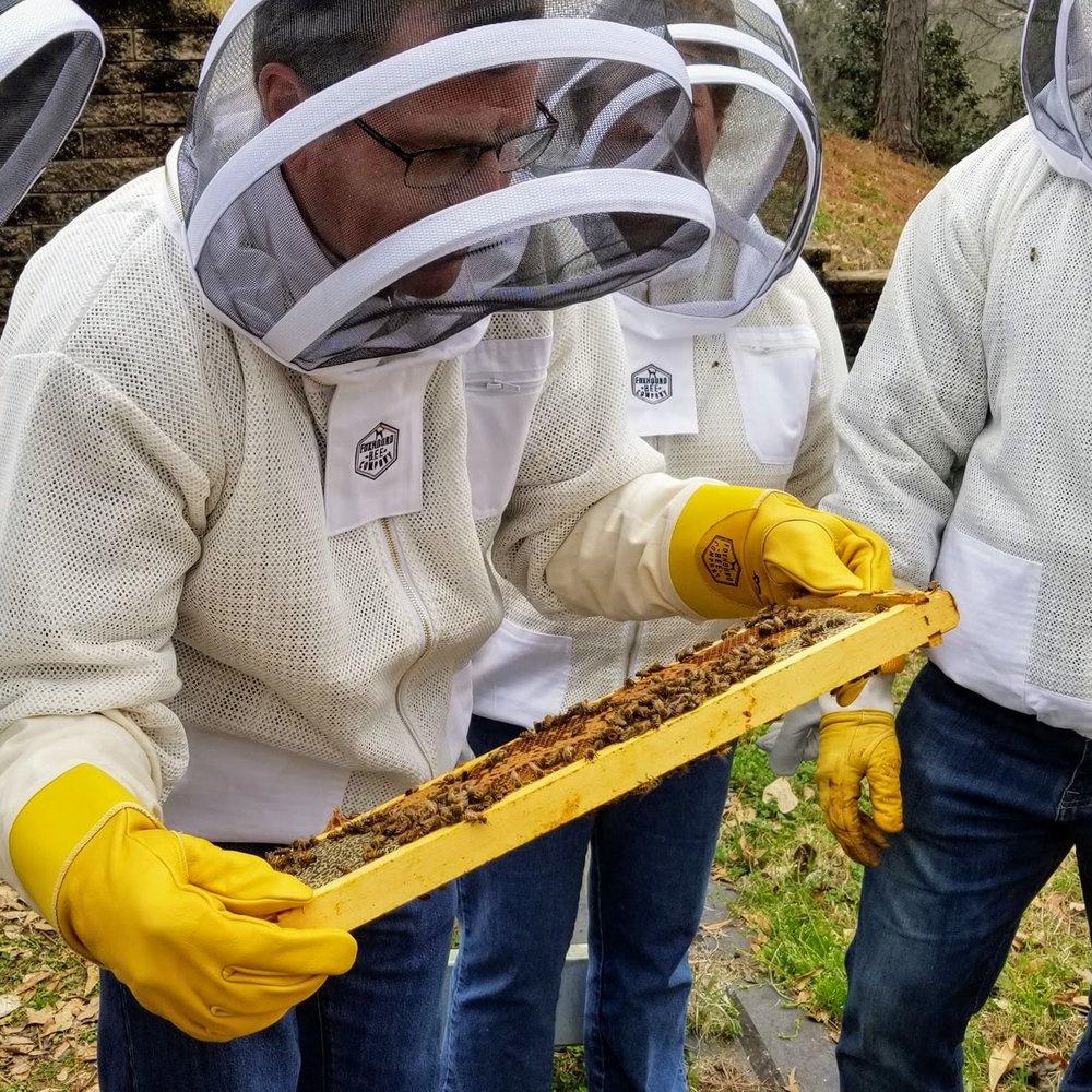 Bee School - One Day Class-Education-Foxhound Bee Company