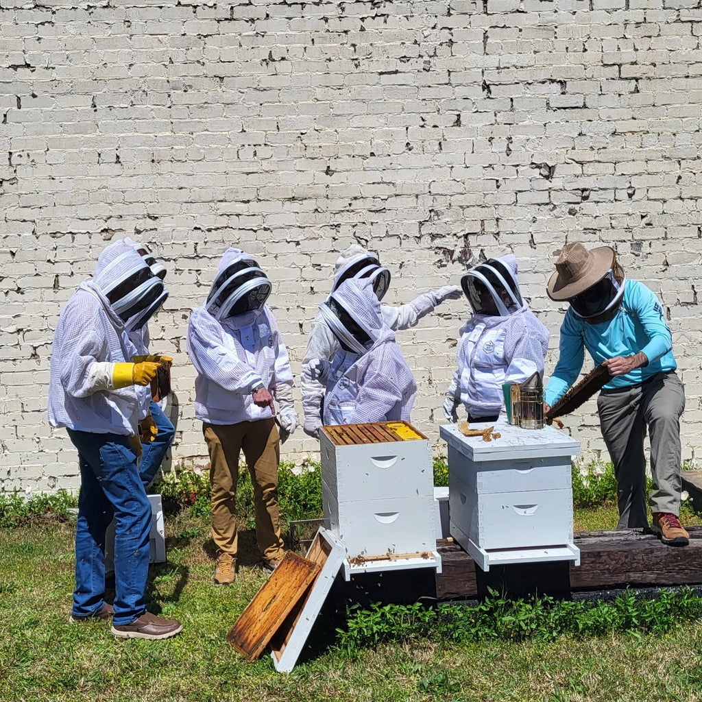 Bee School - One Day Class-Education-Foxhound Bee Company