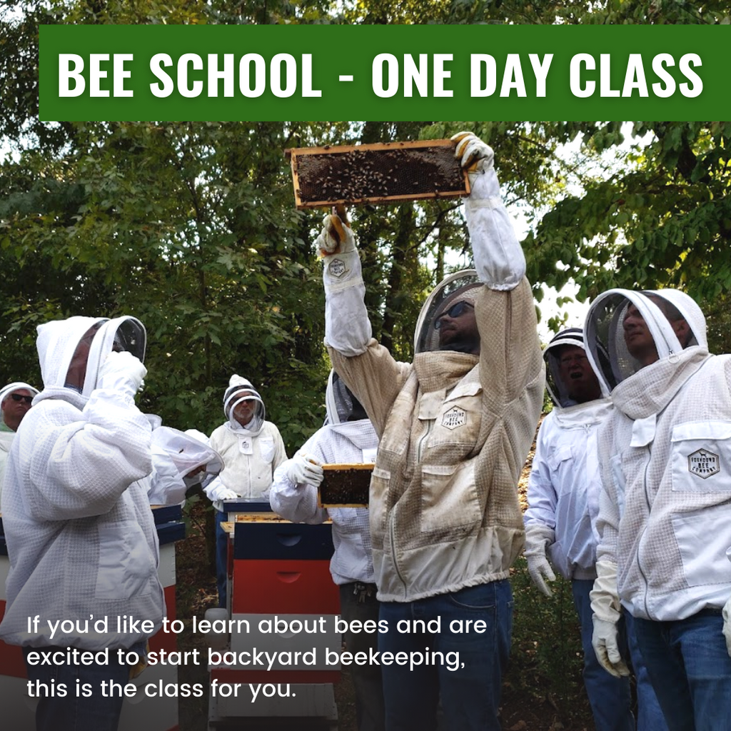Bee School - One Day Class-Education-Foxhound Bee Company