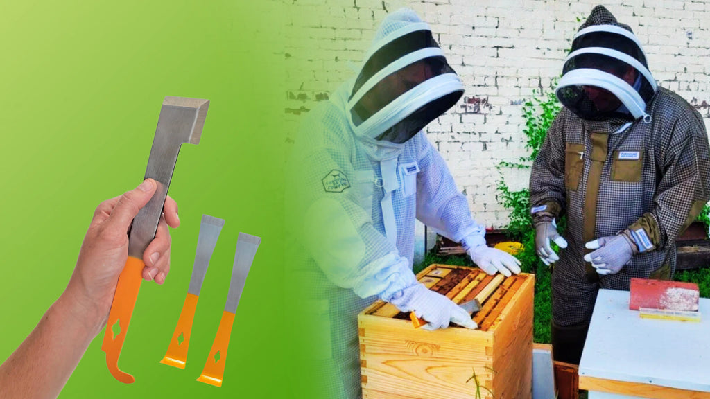 Essential Hive Tools for Every Beekeeper